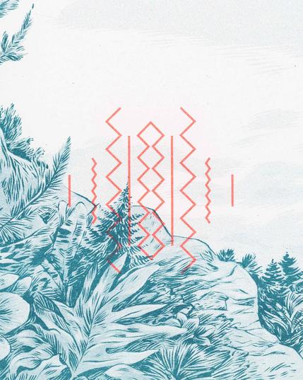 Risograph print showing various plants – a mix of alpine vegetation, and more tropical ones, with large leaves. Overlaid onto it is a, symmetrical, cryptical symbol made of zig-zag lines.