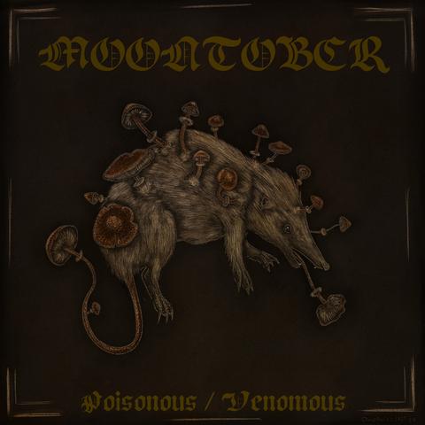 A pale looking water shrew with multiple fool's cone mushrooms growing out of their body.

Text reads: (top) moontober, (bottom) poisonous/venomous