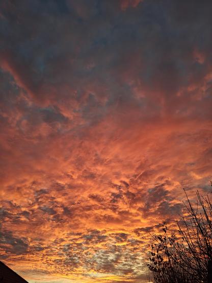 Wolken am Abendhimmel.
Die Sonne strahlt aus tiefem Winkel und lässt die Wolken in kräftigem Rosa und Orange erstrahlen