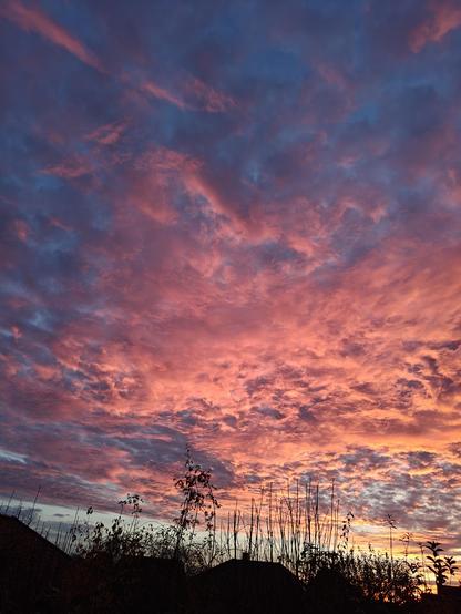 Wolken am Abendhimmel.
Die Sonne strahlt aus tiefem Winkel und lässt die Wolken in kräftigem Rosa und Orange erstrahlen