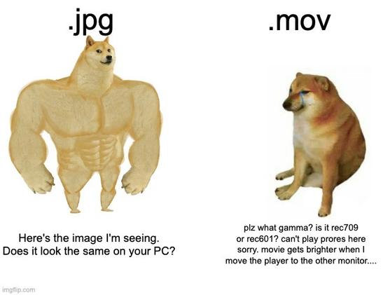 Buff dog vs wimpy dog meme. The strong dog is labeled ".jpg" and proudly states: "Here's the image I'm seeing. Does it look the same on your PC?"

The weak dog on the other side is labeled ".mov" and cries: "Please what gamma? Is it rec709 or rec601? Can't play ProRes here sorry. Movie gets brighter when I move the player to the other monitor."