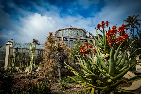 A wide, outdoor shot depicts a botanical garden with a large, ornate glass greenhouse as the central focus. The greenhouse has a complex, Victorian-style structure with a peaked roof and visible metal framework. In the foreground, various cacti and succulent plants of different sizes and textures fill the garden bed, with a prominent aloe plant bearing bright orange flowers in the lower right corner. The garden bed consists of rocks and gravel, and the surrounding foliage varies in color from deep green to reddish-brown. The sky is overcast with a mix of blue and white clouds, creating a diffused lighting effect across the scene.

Provided by @altbot, generated privately and locally using Gemma3:27b