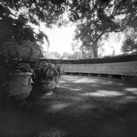 Pinhole photograph of a long curved bench under trees, decorative plant pots in the foreground
