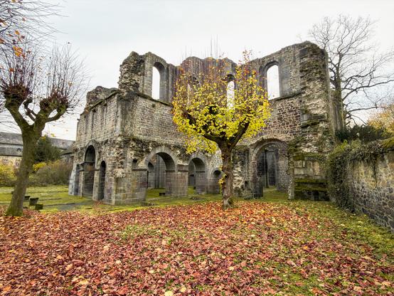 In der herbstlichen Stille steht die Ruine der Klosterkirche Arnsburg bei Lich. Goldenes Laub bedeckt den Boden, ein einzelner Baum leuchtet zwischen den grauen Mauern. Durch die offenen Bögen und Fenster fällt sanftes Licht – Geschichte scheint hier zu atmen.