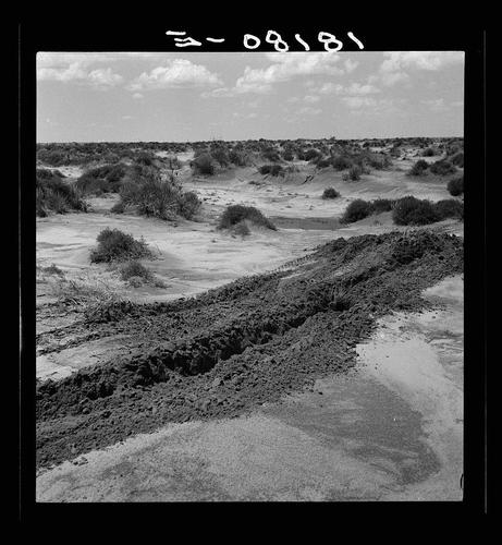 The image is a black and white photograph depicting an expansive landscape characterized by arid, dusty terrain with sparse vegetation. The scene appears to be part of the Dust Bowl region in Texas during the 1930s Great Depression era when agriculture was severely affected due to drought conditions leading to soil erosion.
In this particular photo, there are visible tracks or paths carved through what seems like a field that has experienced some form of disturbance, possibly from farming activities. The ground shows signs of compaction and erosion with areas where the topsoil is exposed, indicating arid conditions typical of the Dust Bowl region during its peak years.
The photograph carries historical significance as it captures the impact of environmental degradation on agricultural lands in Texas. This specific image falls under a collection associated with Dorothea Lange's work documenting life during that period and has been cataloged by an archive or research institution, possibly for academic study or preservation purposes.