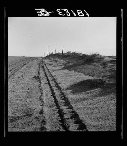 The image is a black and white photograph depicting a desolate landscape. It shows tracks in the sand, which appear to have been created by vehicles or machinery moving across an expansive barren field. The tracks lead from the foreground into the distance where they disappear amidst undulating hills of dry, wind-swept earth known as sand dunes. These dunes rise and fall rhythmically along what seems like a line delineated for some purpose, possibly demarcating property boundaries or serving agricultural purposes.

In the background, there is an overcast sky with no visible signs of vegetation apart from sparse patches of grass on top of the hills created by wind erosion. The landscape looks arid and lifeless, indicative of drought conditions typical during the Dust Bowl era. Notably, a faint figure can be seen walking away in the distance, adding to the sense of isolation.

The photograph is marked with text at the top reading "3-E 2018," likely indicating a reference number or cataloging system used by its creator or curator. The overall impression conveyed through this image is one of abandonment and the harshness of nature's elements during difficult times, possibly referencing historical periods such as the Dust Bowl phenomenon in American history when droughts led to widespread agricultural failure.