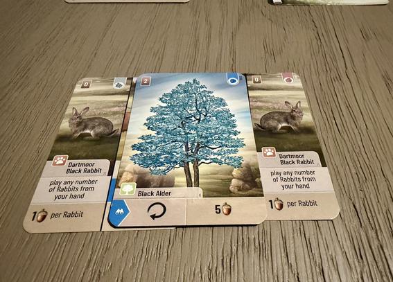 A black alder tree card surrounded by rabbit cards in Forest Shuffle Dartmoor.