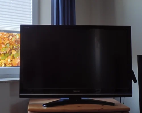 Ein Flachbildfernseher in einem Wohnzimmer als Symbolbild für die Frage: Linear oder gestreamt?