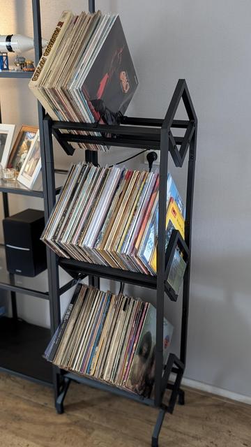 Vinyl collection stand.