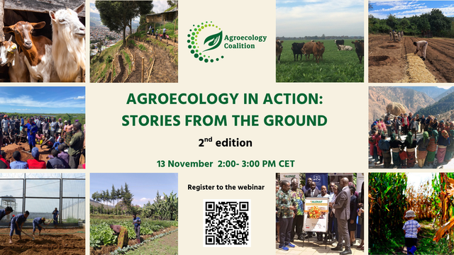 Banner for Agroecology in Action: Stories from the Ground