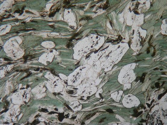 A microscope view of a rock thin section using plane polarized light. The view shows many large clear blocky crystals sitting in a background of smaller, soft green and transparent flakes. The flaky minerals are aligned across the view, with some small folds.