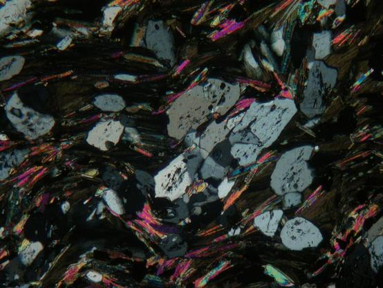 A microscope view of a rock thin section using crossed polars.. The view shows many large greysih blocky crystals sitting in a background of smaller, dark and rainbow-tinted flakes. The flaky minerals are aligned across the view, with some small folds.