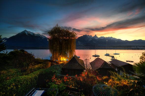 Eine Abenddämmerung-Aufnahme zeigt eine Uferlandschaft vor einer dramatischen Bergkulisse.

Der Himmel leuchtet in kräftigen Farben von Dunkelblau und Violett im oberen Bereich bis hin zu Rosa, Orange und Goldgelb über dem Horizont. Dieses Licht spiegelt sich leicht auf der ruhigen Wasserfläche wider.

Im Hintergrund erheben sich majestätische, schneebedeckte Berge in dunklen Silhouetten.

Im Zentrum des Vordergrunds dominiert ein grosser Trauerweidenbaum, dessen Blätter von einer goldenen Lichtquelle darunter angestrahlt werden, wodurch er wie ein leuchtender Fokuspunkt erscheint. Darunter sind die Dächer von drei Bootshäusern erkennbar. Der unmittelbare Vordergrund besteht aus dunklem Buschwerk und Gartenstrukturen, die die Szene umrahmen. Auf dem Wasser sind drei Segelboote vertäut.