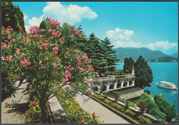 Printed colour postcard showing a view of the Terrace Gardens at Isola Bella on Lake Maggiore in Italy.

Published by Muzio, Milano, Sogema Marzari SpA, No 39, c.1970.

Postally unused.

Very good condition, with minimal corner bumps.