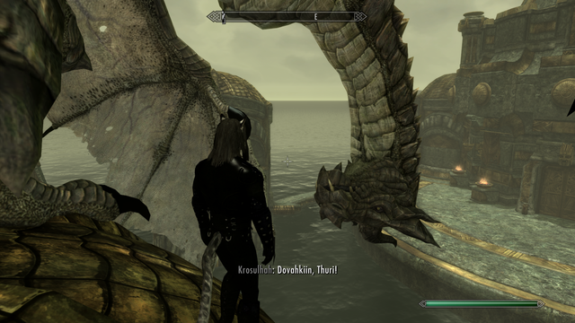 Modded Skyrim screenshot, where the player, a khajiit wearing suspiciously shiny Dark Brotherhood armour, is standing on a building occupied by the dragon Krosulhah.

The dragon truce provided by the Sweet-Roll-Devour mod has been enabled, and as a result, Krosulhah is staring at the player and saying "Dovahkiin, Thuri!" instead of the generic "Speak, if you have aught to say worth the listening" line.
The striking part of this is that Krosulhah has craned his neck into an inverted U-shape and his head is upside-down as he considers the player.

This was made with Play-As-A-Dragon SE and Sweet-Roll-Devour, plus the now-rare "AG Shiny Brotherhood skins" mod.  One or both of the dragon mods has made the NPC dragons non-hostile.