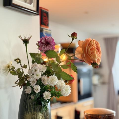 A purple dahlia, a young echinacea, single yellow and white many-petalled chrysanthemums, and a very long, bloom-heavy ruffled apricot culinary rose. The brown and gold tall vase is absolutely not balanced, with the rose leaning out away from the wall, in front of a warm-lit kitchen.