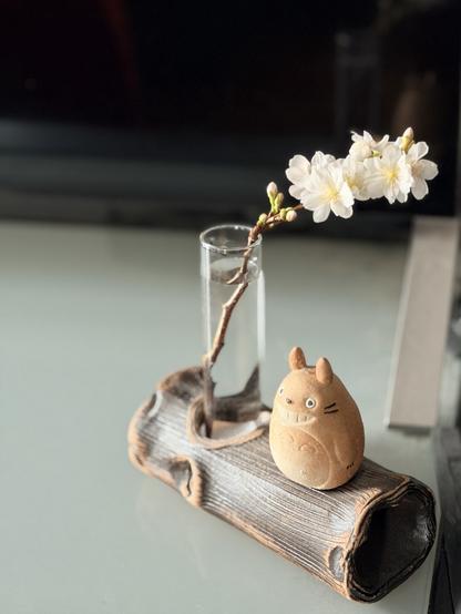A tiny glass beaker vase in a ceramic log with a cute brown totoro holds a single stem of cherry blossoms in front of a TV on a glass-topped console table. Autumnalis subhirtella is living up to its name and flowering beautifully this year.