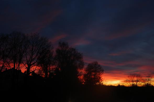 Against a deep blue sky covered with pink to almost purple clouds and an area burning in pink, red, orange and yellow above the horizon, the silhouettes of several large trees and the pointed roof of a house stand out.