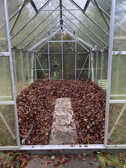 Greenhouse with leaves