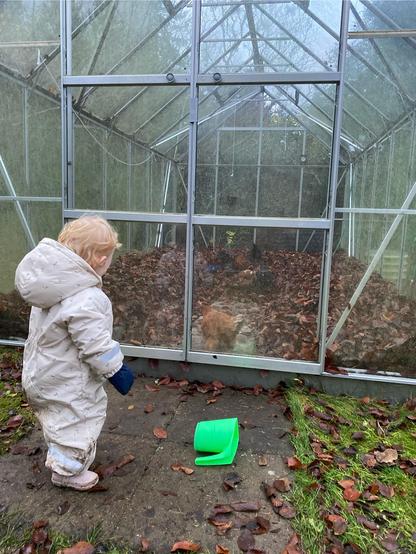 Closed door. Toddler approves