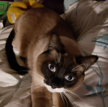 Evil is evil. No way around it.