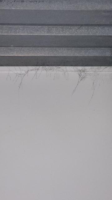 A spiderweb at the intersection of a steel ceiling and white wall was previously invisible to us until the soot from our kiln dusted it black making the delicate structure easy to see. 
~
Een spinnenweb op het kruispunt van een stalen plafond en een witte muur was ons eerder onzichtbaar, totdat het roet van onze oven het zwart bestofte en de delicate structuur zichtbaar maakte.
~
Une toile d’araignée à l’intersection d’un plafond en acier et d’un mur blanc nous était auparavant invisible, jusqu’à ce que la suie de notre four la couvre de noir, rendant sa structure délicate facile à voir.