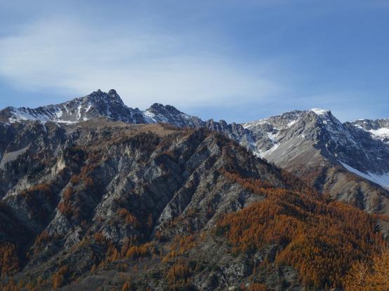 Mountain panorama with snow capped mountains, orange forests