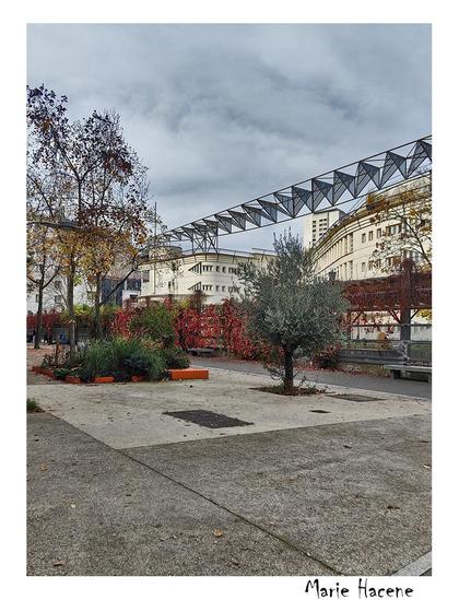 'allée Darius Milhaud