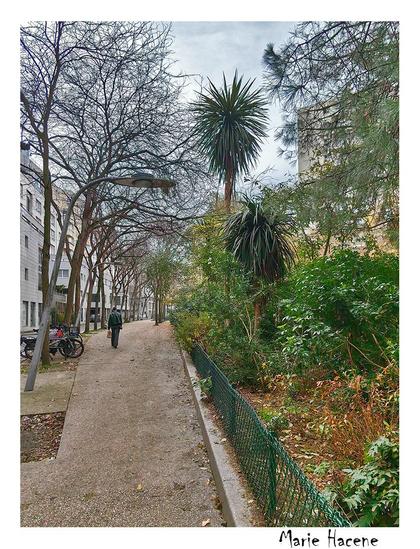 'allée Darius Milhaud