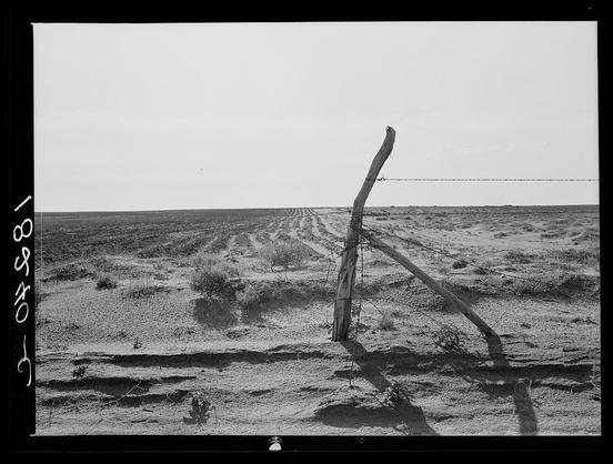 The image depicts a desolate landscape marked by barren fields and scattered vegetation. A broken fence post stands prominently in the foreground, leaning towards an old wire fence that cuts across the field diagonally from top left to bottom right. The absence of lush greenery or crops suggests arid conditions typical of droughts or dust storms. This black-and-white photograph captures a stark contrast between the earthy tones and the monochrome sky. It evokes thoughts on agricultural hardships, perhaps in connection with historical events such as the Dust Bowl that affected parts of America during the Great Depression era.
