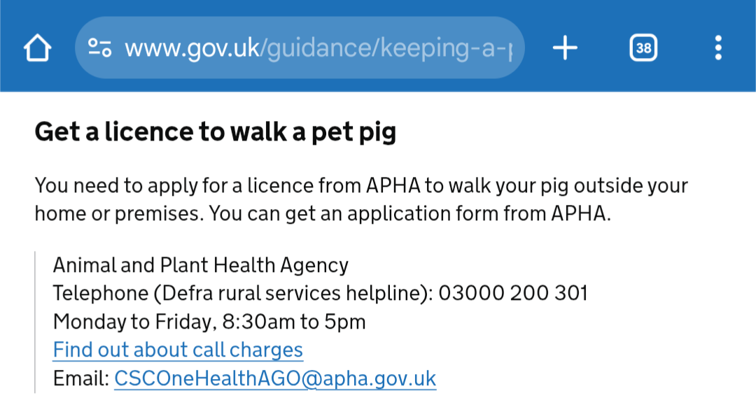 A screenshot of a website on gov.uk. It reads: Get a licence to walk a pet pig You need to apply for a licence from APHA to walk your pig outside your home or premises. You can get an application form from APHA. Animal and Plant Health Agency Telephone (Defra rural services helpline): 03000 200 301 Monday to Friday, 8:30am to 5pm Find out about call charges Email: CSCOneHealthAGO@apha.gov.uk