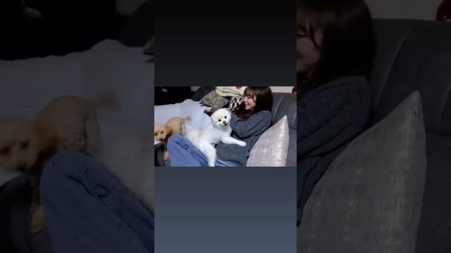 与田祐希 2025/11/13