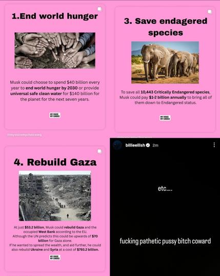 Photo by Culture Crave 🍿 on November 13, 2025. May be a graphic of elephant, slow loris, rhinoceros and text that says '1.End world hunger 3. Save endagered species Musk could choose spend $40 billion every year end world hunger by 2030 provide universal safe clean water for $140 billion for the planet the next seven years. PYCROICE To save all 10,443 Critically Endangered species, Musk could $1-2 billion bring all of them down to Endangered status. @myvoicemychaiceorg MYCECL billieeilish 2m 4. Rebuild Gaza etc.... Atj $53.2 billion, Musk could rebuild Gaza and the occupied ding Although the predicts could upwards ds billionfo Gaza alont wealth, further, Ukraine and cost billion. $70 fucking pathetic pussy bitch coward'.