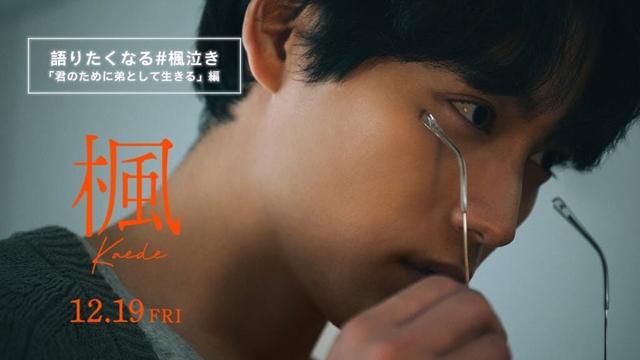 映画『楓』語りたくなる #楓泣き「君のために弟として生きる」編