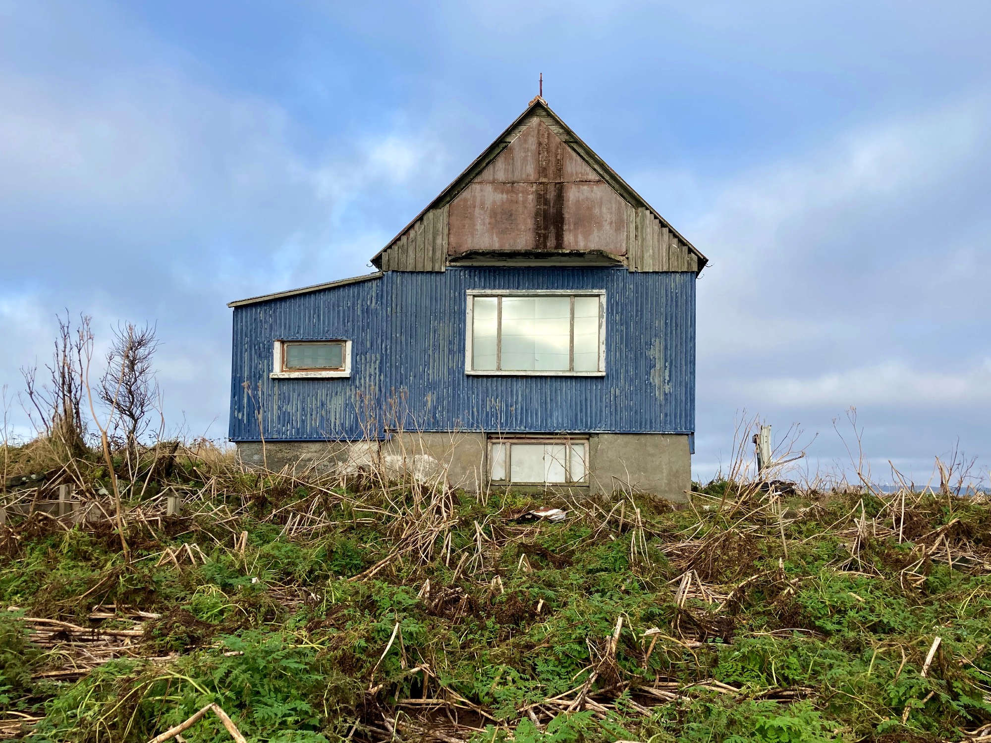 An abandoned blue house surrounded by all sorts of plants.