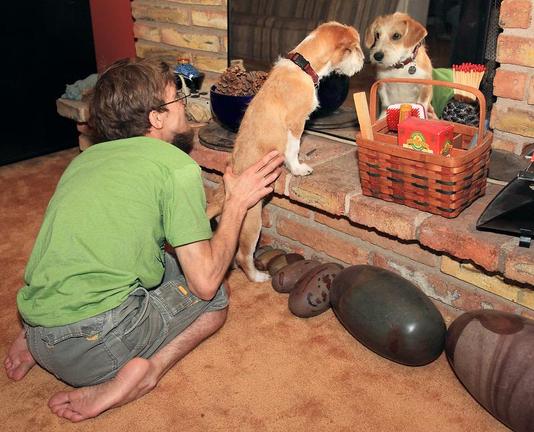 Young terrier puppy discovering his reflection in a mirror set in front of a fireplace grating. His owner is helping to hold him stand up at the narrow brick base and ledge of the fireplace. There are special lingum stones like brown heavy ovals along the base. There are a few bowls and baskets that clutter to the left and right.