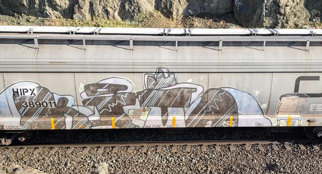 Train car with graffiti rolling through Kamloops BC Canada