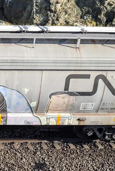 Train car with graffiti rolling through Kamloops BC Canada