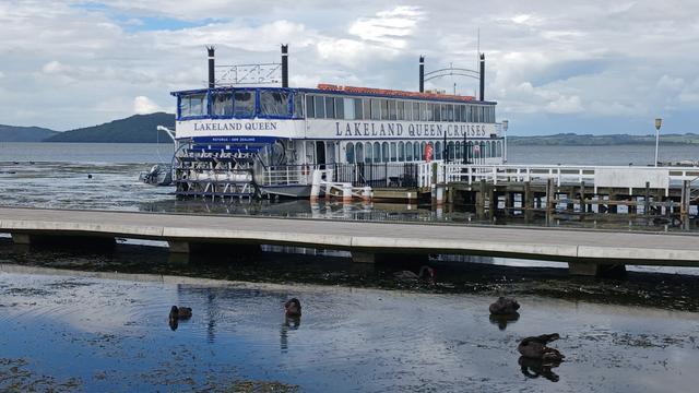 The Lakeland Queen sternwheeler with 4 black swans