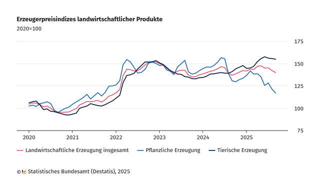 Liniendiagramm mit dem Titel 'Erzeugerpreisindex landwirtschaftlicher Produkte 2020=100'. Die x-Achse zeigt die Jahre von 2020 bis 2025, die y-Achse reicht von 80 bis 180. Drei Linien verlaufen über die Zeit: eine rote Linie für 'Landwirtschaftliche Erzeugung insgesamt', eine blaue Linie für 'Pflanzliche Erzeugung' und eine schwarze Linie für 'Tierische Erzeugung'. Die rote Linie steigt von etwa 100 im Jahr 2020 bis knapp über 140 ab 2022. Die blaue Linie steigt bis 2022 stark an, erreicht dann einen Höhepunkt über 150 und fällt danach bis 2025 auf etwa 115 ab. Die schwarze Linie steigt ebenfalls bis 2022, bleibt dann relativ stabil unter 150 und steigt gegen Ende des Zeitraums wieder über 150. Unten links befindet sich die Quellenangabe 'Statistisches Bundesamt (Destatis), 2025'.