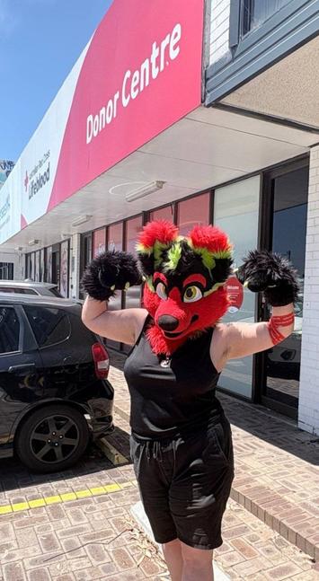 Taffy stands in front of a Lifeblood donor centre wearing their fursuit head and paws with their arms in a flexing pose, rocking a red bandage on their left elbow.