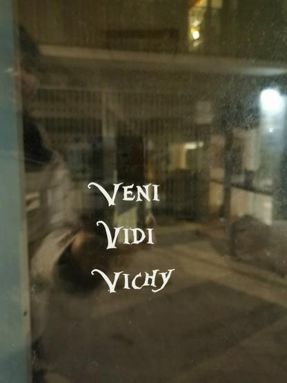 Veni vidi vichy