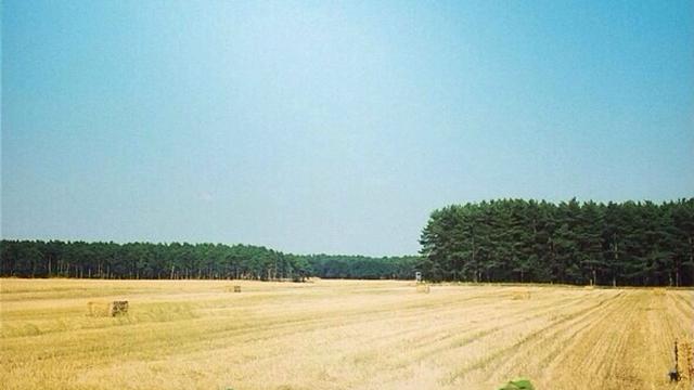 Heimat-Blogparade / Blogparade Heimat