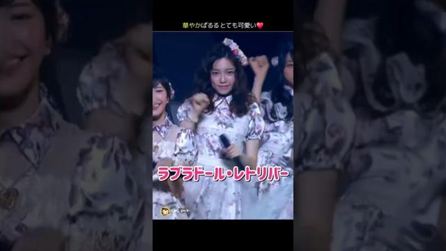【華やか ぱるる】ラブラドール・レトリバー 【ぱるる部分のみ】 #島崎遥香 #ぱるる #AKB48 #渡辺麻友 #指原莉乃 #柏木由紀 #小嶋陽菜 #川栄李奈 #松井珠理奈 #Shorts