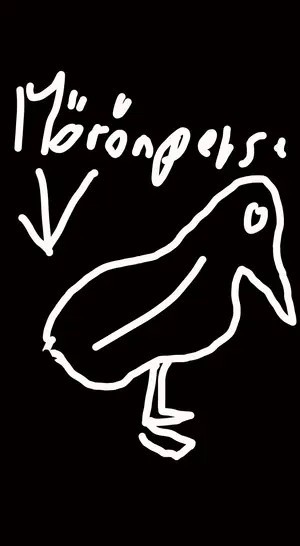 Gekritzeltes Möwe , weiß auf schwarz