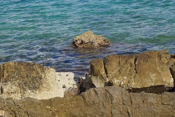 Zdj臋cie chorwackiego dzikiego i skalistego wybrze偶a. Dolna po艂owa zdj臋cia to niewysokie ska艂ki przed zej艣ciem do morza. G贸rna po艂owa zdj臋cia to ju偶 morze. Jest ono spokojne. Po 艣rodku tego morza wy艂ania si臋 mniejsza i bardziej ostra ska艂ka. Te chorwackie ska艂y maj膮 kolory oliwkowy i kremowy, w zale偶no艣ci od wilgotno艣ci i pokrycia morskimi osadami.