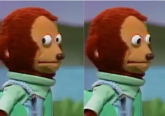 Das wahlweise als "Monkey Puppet" oder "Awkward Look Monkey" bekannte Meme. Es zeigt eine, an einen Muppet erinnernde Puppe eines Affen, welche im ersten Panel verstohlen zur Seite blickt, im zweiten wieder nach vorne. Es wird meist verwendet um einer Person Heuchelei vorzuwerfen, bspw. wenn sie einer anderen Person etwas vorwirft, was sie selber auch getan hat.