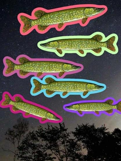 Images of 6 northern pike floating in the sky each surrounded by a glowing color.