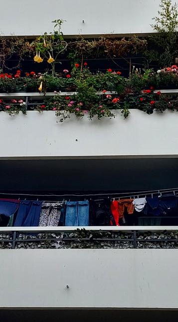 Twee balkons boven elkaar. De bovenste vol overwegend rood, maar ook roze en geel, bloeiend spul, erachter de ramen van het appartement.
Op het onderste balkon hangt de was aan de waslijn.