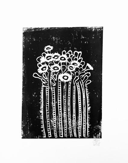 A cluster of white blossoms on the top of a saguaro cactus with a black background